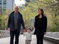 Special victims unit streaming on amazon prime video or buy it as download on apple itunes, google play movies, microsoft store. Law Order Svu Season 17 Tv Fanatic
