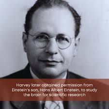 Thomas Stoltz Harvey