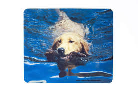 Amazon Com Golden Retriever Swimming Mousepad Hot Pad Trivet Hand Imprinted Photo Handmade