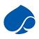 Capgemini Government Solutions