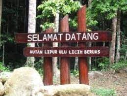 Camping, hiking, jungle trekking and picniking in rainforest. Hutan Lipur Ulu Licin Jabatan Perhutanan Semenanjung Malaysia