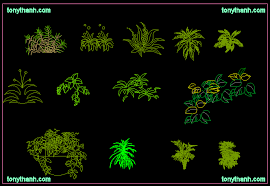 Check spelling or type a new query. Cad Blocks Plants 3d Sample Free Dwg Autocad Block Plant A Photo On Flickriver