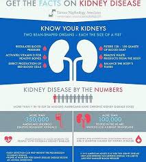 Alport Syndrome Foundation On Instagram Know Your Kidneys Image Via Kidney4aprincess Nationalkidne Kidney Disease Awareness Kidney Disease Kidney Health