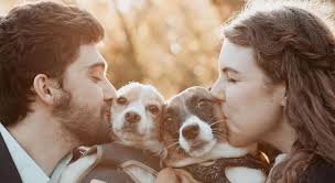 Maureen Kirk and Jesse Brown's Wedding Website