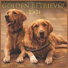 2021 2021 Wall Calendar Golden Retriever Calendar Monthly View 12 Month Dogs And Pets Theme Pub Print Calendar 2021 9798644304196 Amazon Com Books