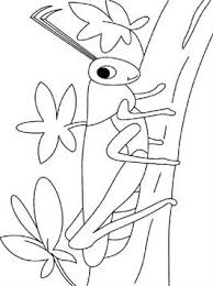 Some of the coloring page names are grasshopper picture coloring grasshopper picture coloring color nimbus, grasshopper drawing outline on clipartmag, grasshopper in the garden coloring online coloring for, little grasshopper coloring little grasshopper coloring color nimbus, sad grasshopper coloring online coloring for color. Kids N Fun Com 21 Coloring Pages Of Grasshoppers