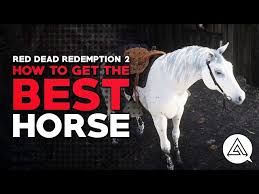 Red dead redemption 2 arabian horses are a superior class, often kept by wealthy owners. Arabian Horse Location In Red Dead Redemption 2 Shacknews