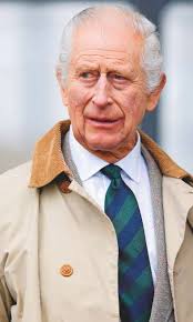 Charles tells harry: 'apologise to camilla'