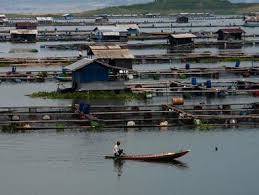 Berita Waduk Jatiluhur Hari Ini Kabar Terbaru Terkini Liputan6 Com