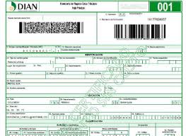 Dirección de impuestos y aduanas nacionales. Para Que Le Sirve El Rut A Las Personas Naturales