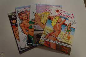 HOUSEWIVES AT PLAY 1 - 18, HOT MOMS 1 - 11, TEENS AT PLAY 1 - 5 - NEAR  MINT! | #1864529229