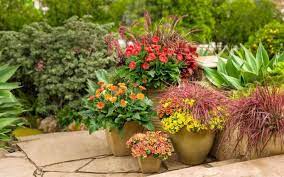 We did not find results for: Pflanzplane Kostenlos Fur Den Vorgarten Tipps Und Beispiele Garden Containers Plants Low Maintenance Plants