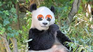 Meet Panda An Illicit Cryptocurrency Mining Crew Terrorizing Organizations Worldwide
