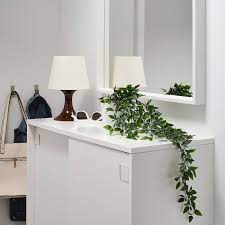 We did not find results for: Buy Fejka Artificial Potted Plant 9 Cm Online Uae Ikea