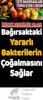Ikinci Beynimiz Olan Bagirsak Icin Temizleyici Besinler Saglikli Yasam Tarzi Saglikli Yasam Dogal Saglik
