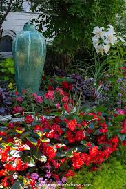 You may be familiar with other kinds of euphorbias that need blazing hot sun to survive, but the annual diamond frost euphorbia is nothing like its sun loving cousins. Best Shade Annuals 16 Flowers And Foliage Plants For Shade