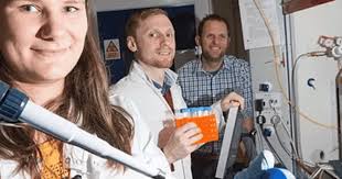 Validating in vitro feed trials