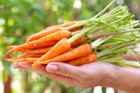 How do they grow baby carrots? Growing Baby Carrots Is Easy As Pie