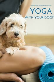 Here S Something Interesting Did You Know Dogs Are Naturals At Doing Yoga Find Out How To Learn Downward Dog With Your Dog Puppies Yoga Dog Yoga Dogs