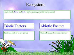 Biotic And Abiotic Factors In An Ecosystem Slideshare Biotic And Abiotic Factor Authorstream