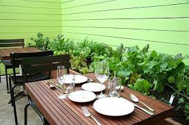 Contigo S Back Patio With Herb And Vegetable Garden Vegetable Garden Garden Design Veg Garden