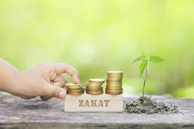 Jelaskan Makna Zakat Menurut Bahasa Dan Zakat Menurut Istilah Kumparan Com