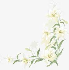 Hand Painted Lily Border Vector Cartoon Hand Painted Png Transparent Clipart Image And Psd File For Free Download Flower Painting Chinese Landscape Painting Hand Painted Flowers