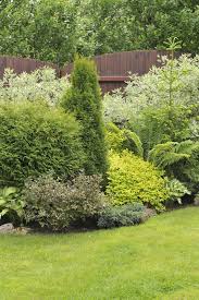 This garden design is quite cool. 38 Clever Backyard Shrub Garden Ideas Home Stratosphere