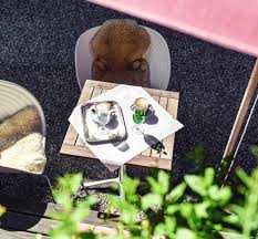 See 277 traveller reviews, 200 candid photos, and great deals for haus hirt, ranked #2 of 36 hotels in bad gastein and rated 4.5 of 5 at tripadvisor. Haus Hirt Familienfreundliches Alpine Spa Hotel In Bad Gastein