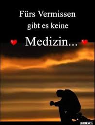 Furs Vermissen Gibt Es Keine Medizin Lustige Bilder Spruche Witze Echt Lustig