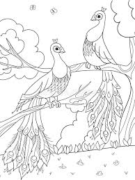 Cannibalism may be one bird against another bird, or groups of birds attacking an individual. Cartoon Coloring For Children A Bird A Feather Of A Bird Or A Peacock On A Tree Couple In Love Stock Illustration Illustration Of Hibiscus Fashion 123311672