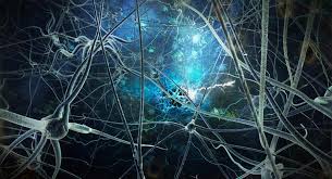 We did not find results for: Yogic Neuroscience The Brain And The Thousand Petal Lotus Of The Head American Institute Of Vedic Studies