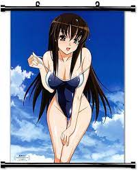 Amazon.com: Aki Sora Anime Fabric Wall Scroll Poster (32 x 42) Inches:  Posters & Prints