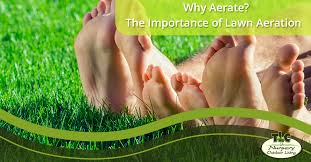 A hole puncher creates holes in the soil. Why Aerate The Importance Of Lawn Aeration Tlc Nursery Outdoor Living