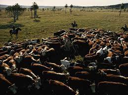 Ranching National Geographic Society