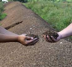 9 Steps For Composting Horse Manure The Horse In 2020 Horse Manure Manure Horse Manure Management
