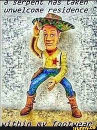 Pin By Kenna Canterbury On M E M E Stupid Funny Memes Funny Memes Stupid Memes