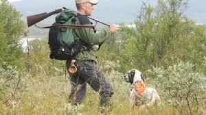 May 24, 2019 · cats and gun safety. Sweden May Have The Answer To America S Gun Problem Vox