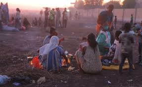 Maybe you would like to learn more about one of these? Ethiopia News Latest Ocha Report Estimates 1 003 000 Idps As A Result Of Violence Across Ethiopia Urges Parties To Conflict To Protect Aid Workers Ease Of Humanitarian Access Allafrica Com