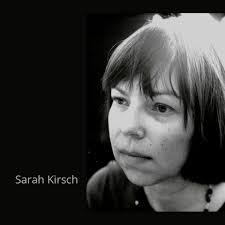 Sara Kirsch