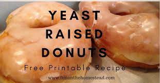 Glazed Donuts The Best Yeast Raised Glazed Donut Recipe Recipe Raised Donuts Doughnut Recipe Easy Donut Glaze