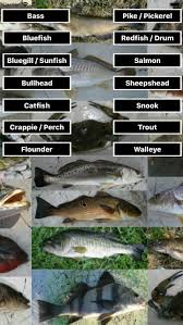 which app gives fish weight chart based on fish length