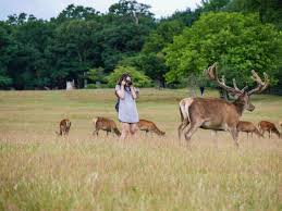 Additional details are available at www.nps.gov/coronavirus. How To Get To Richmond Park The Best Advice On How Not To Get Lost