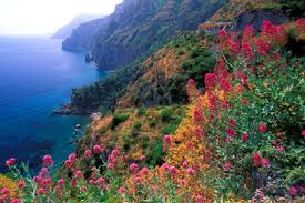 Here then are some of the most in italy, funerals are solemn occasions but at the same time are celebrations of the deceased person's life. Six Unmistakable Signs That Spring Has Arrived In Italy The Local