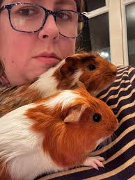 Advice please. How much does 10% 'fresh' look like? My boys have excess  hay/Fress grass for over half the day. Good weather they spend 5-8 hours  outside in long grass (lots of