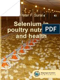 Although there's plenty of pleasure to be had simply walking around the city, there are. Selenium In Poultry Nutrition And Health Vetbooks Ir Pdf Antioxidant Radical Chemistry