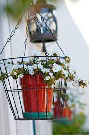 Pin By Dubai Garden Centre On My Home Hanging Baskets Diy Container Gardening Garden Containers
