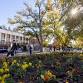 UMW Open House event image