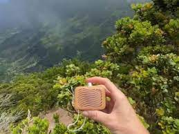 It S 2021 And You Can Now Listen To Music Made By Plants