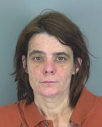 Dogs attack 76-year-old attending funeral in SC, owner charged